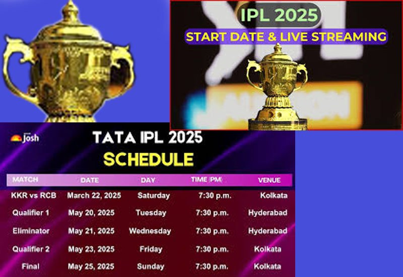Indian Premier League (IPL-2025)